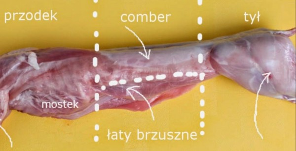 Polski eBazarek - Tuszki królika - 1