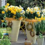 Polski eBazarek - Narcyz pełny DICK WILDEN – cebule - 3