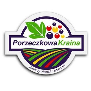Polski eBazarek - Konfitura z jarzębiny/ 250 ml - 1