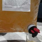 Polski eBazarek - Sok tłoczony na zimno z pigwy (3 l) - 1