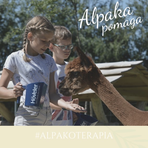 Polski eBazarek - Alpakoterapia - 1