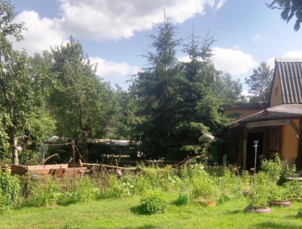 Polski eBazarek - Bułki - 1