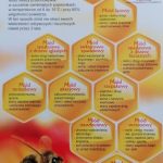 Polski eBazarek - Miód rzepakowy - 3