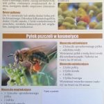 Polski eBazarek - Pyłek pszczeli - 3