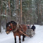 Polski eBazarek - PIĘKNO TRADYCJI ŚWIĄT BOŻEGO NARODZENIA - 5