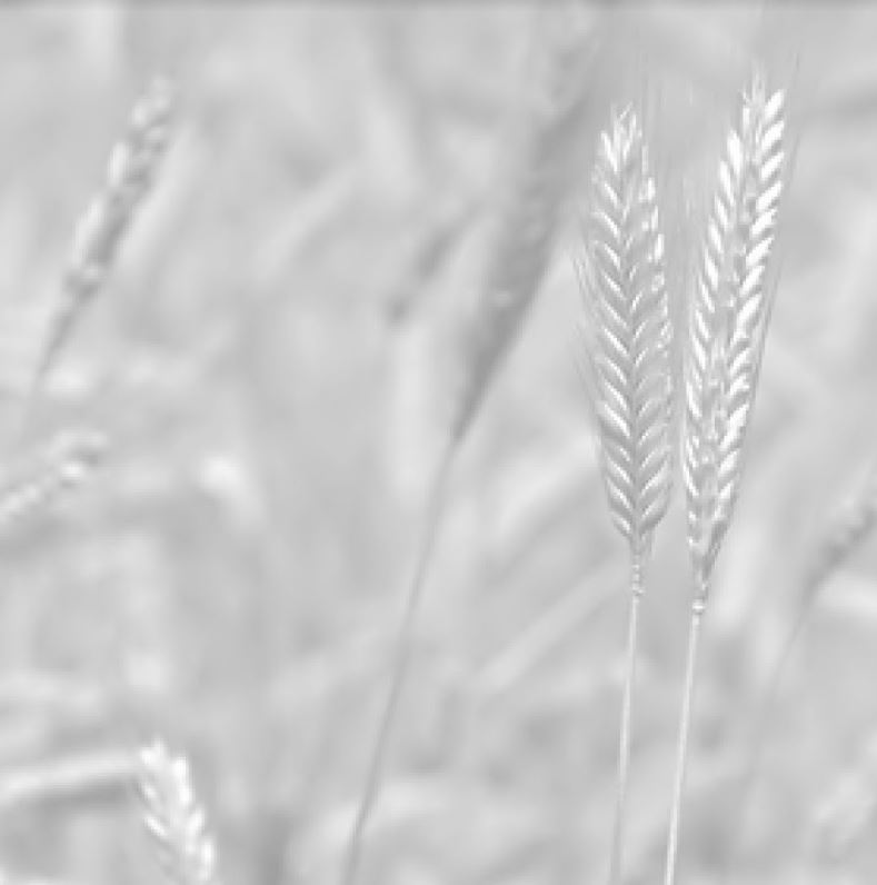 Polski eBazarek - Mleko kozie - 1