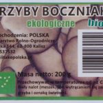 Polski eBazarek - Grzyby boczniaki - 2