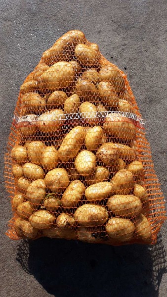 Polski eBazarek - Ziemniak LORD - 1