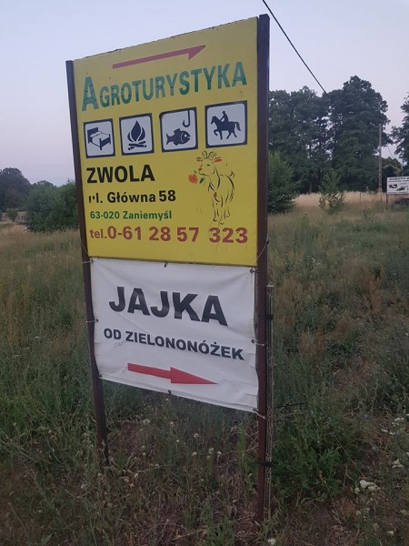 Polski eBazarek - Gospodarstwo Agroturystyczne L.M Roszczka - 1