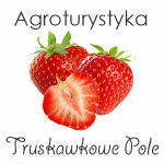 Polski eBazarek - Agroturystyka Truskawkowe Pole - 1