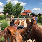 Polski eBazarek - Stajnia Rotmistrz nauka jazdy konnej - 1