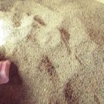 Polski eBazarek - Peluszka milwa - 2