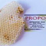 Polski eBazarek - Propolis - 1