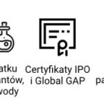 Polski eBazarek - Sok jabłkowy 100% NFC 3 l - 4