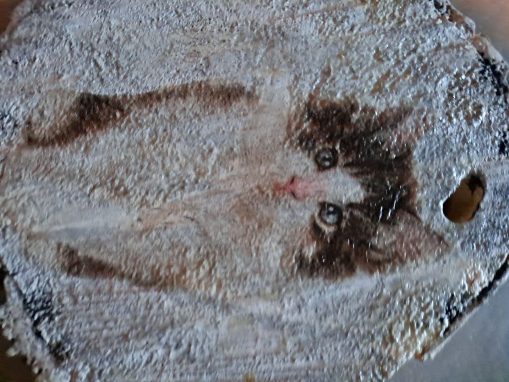 Polski eBazarek - Kora - 1