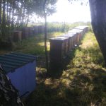 Polski eBazarek - MIÓD Z WŁASNEJ PASIEKI, PROPOLIS - 2