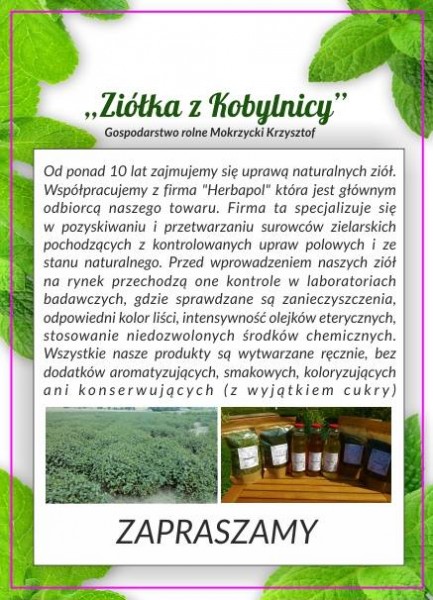 Polski eBazarek - SYROP Z POKRZYWY 750 ml - 1