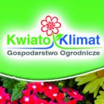 Polski eBazarek - Kwiaty balkonowe i rabatowe - 1