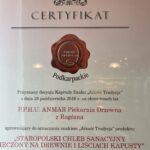 Polski eBazarek - Staropolski chleb sanacyjny na liściu kapusty - 1