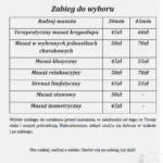 Polski eBazarek - Masaż z dojazdem do domu - 2