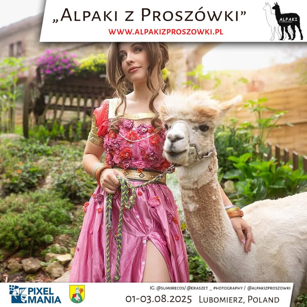 Polski eBazarek - Śluby i eventy z alpakami – wyjątkowa oprawa Waszych wyjątkowych chwil - 1