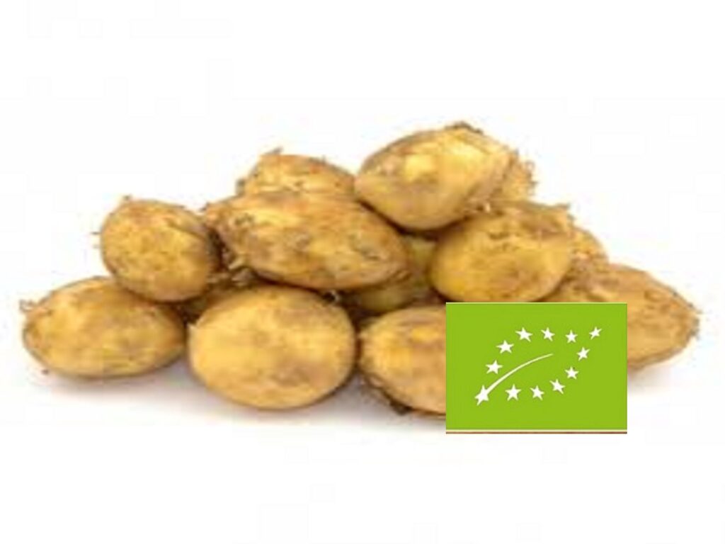 Polski eBazarek - Ziemniaki młode EKO - 1