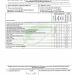 Polski eBazarek - Pomidory EKO - 2