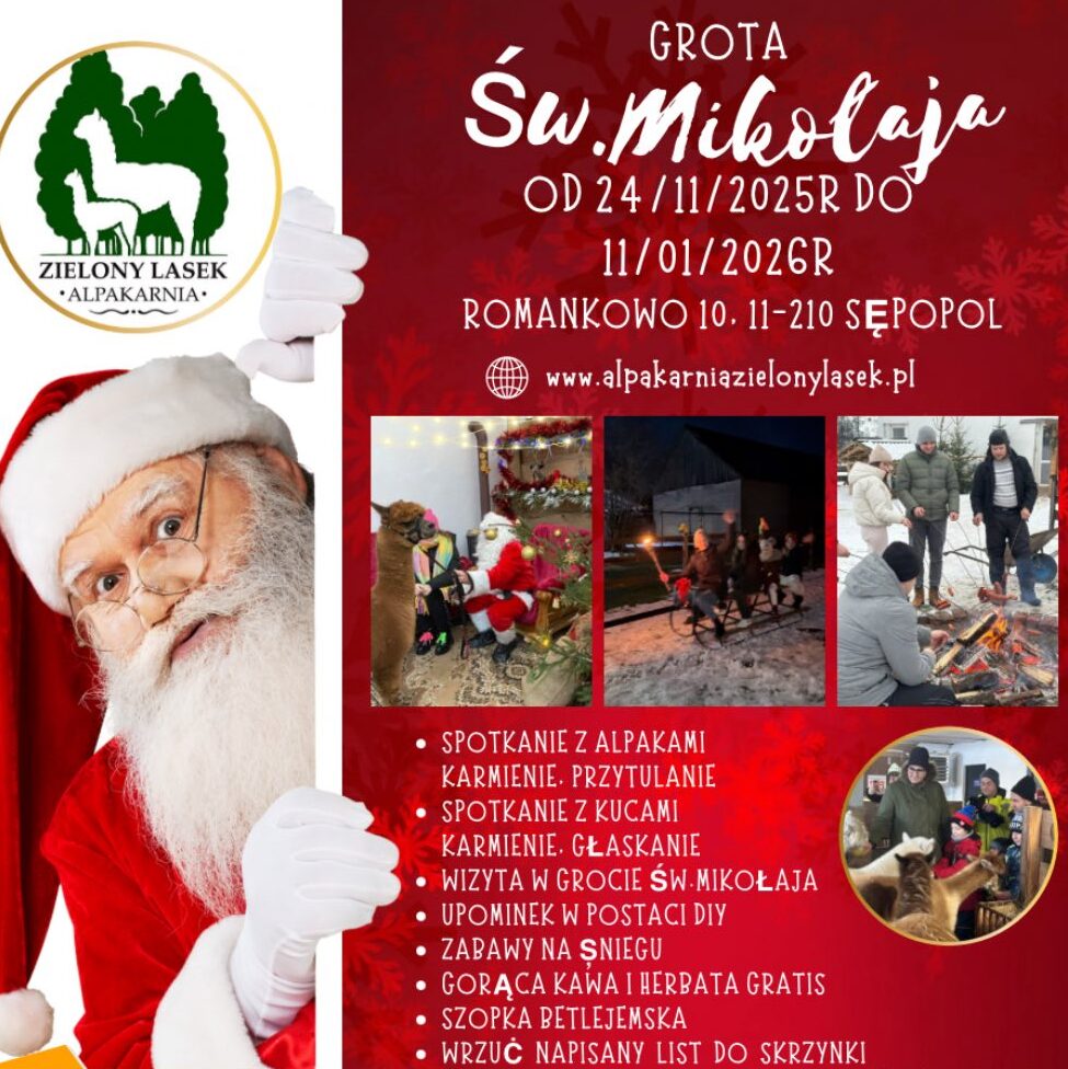 Polski eBazarek - Magia Świąt w Alpakarni „Zielony Lasek”! - 1