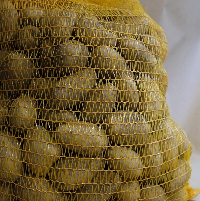 Polski eBazarek - ziemniaki odmiana Gala,  Queen Anne - 1