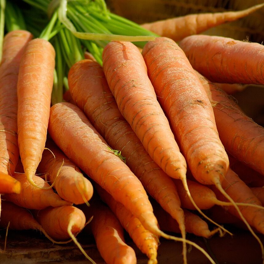 Polski eBazarek - marchew - 1