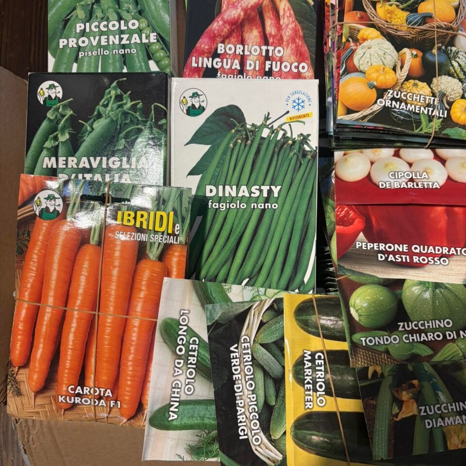 Polski eBazarek - Nowe włoskie nasiona - 1