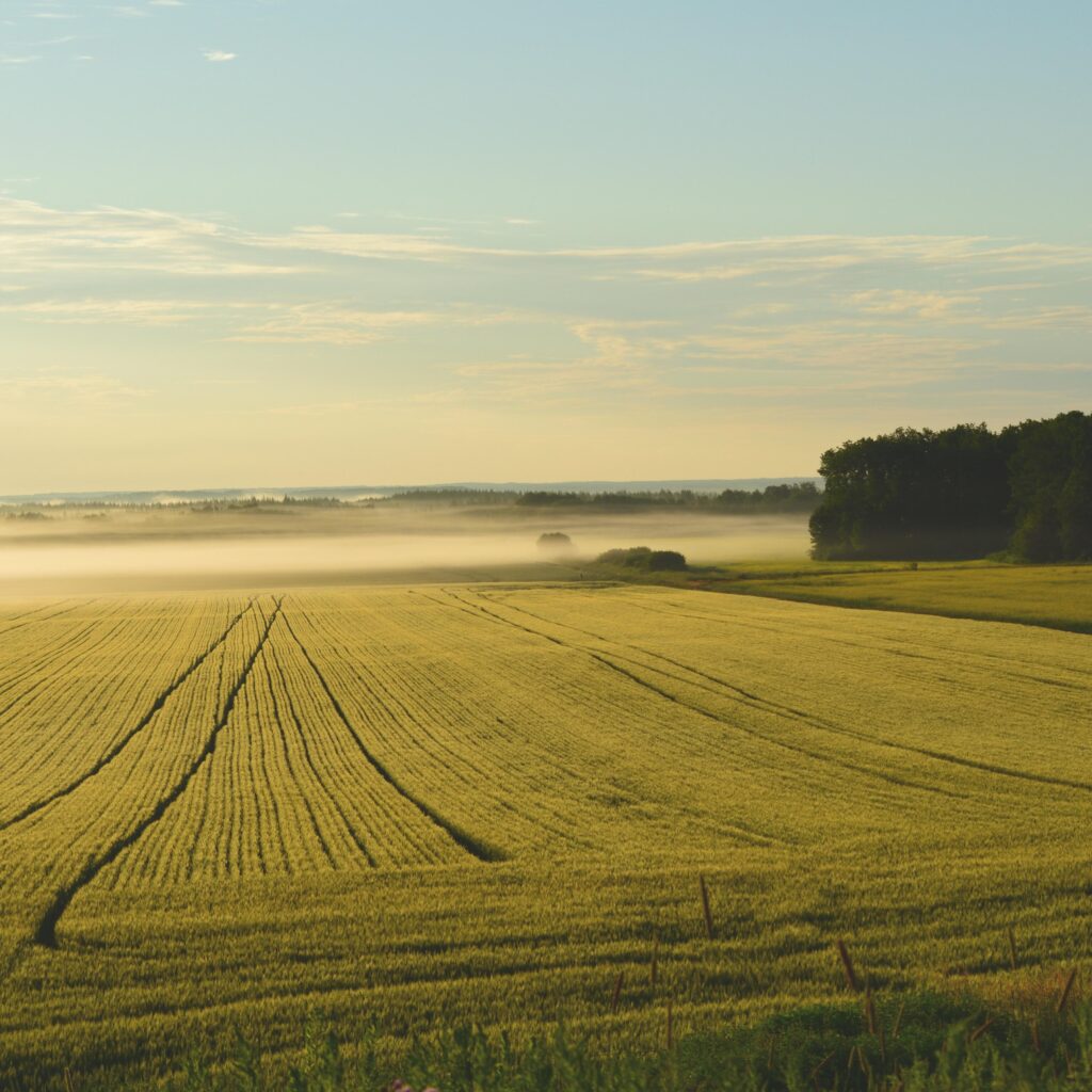 Polski eBazarek - przyczepa rolnicza - 1