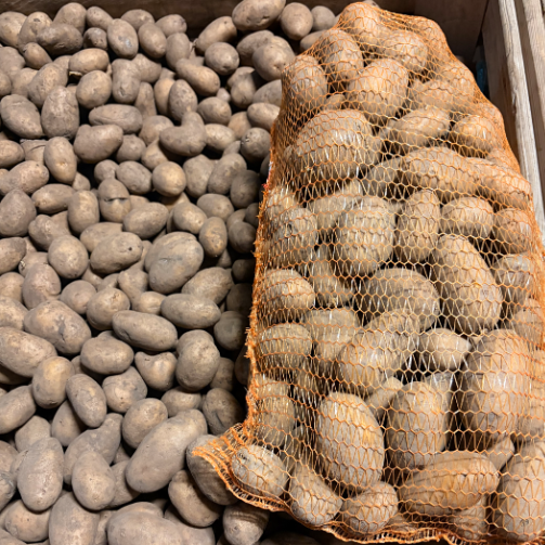 Polski eBazarek - Ziemniak Queen Anna i Irga – workowany 15kg, ładny, okolice Łodzi - 1