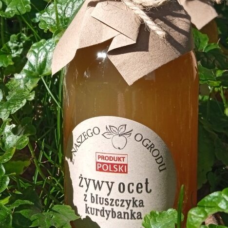 Polski eBazarek - Ocet z bluszczyka kurdybanka, 330 ml – żywy - 1