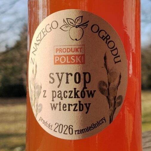 Polski eBazarek - Syrop z pączków wierzby – naturalna domowa aspirynka - 1